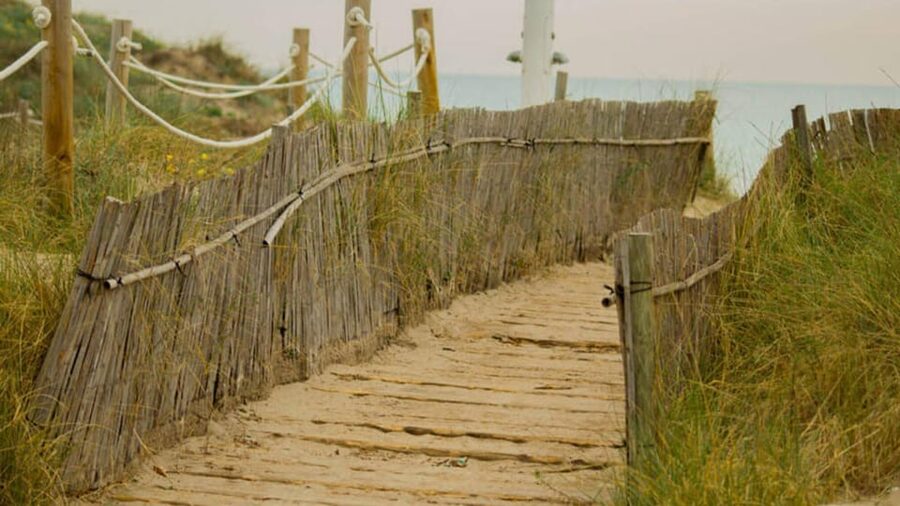 From Valencia: Albufera Natural Park Eco Boat Tour & Sunset - The electric boat across Albufera lagoon