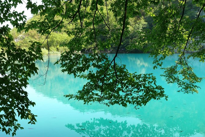 From Zadar: Plitvice Lakes with Boat Ride & Zadar Old town tour - Price, group size, and overall value