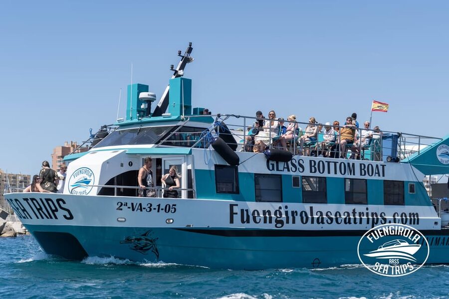Fuengirola: Catamaran Tour to Spot Dolphins - Key points at a glance