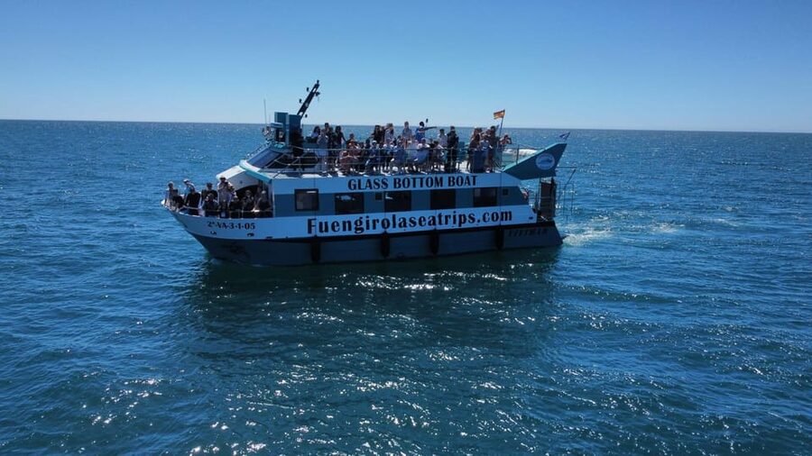 Fuengirola: Catamaran Tour to Spot Dolphins - Is $21 a fair price?