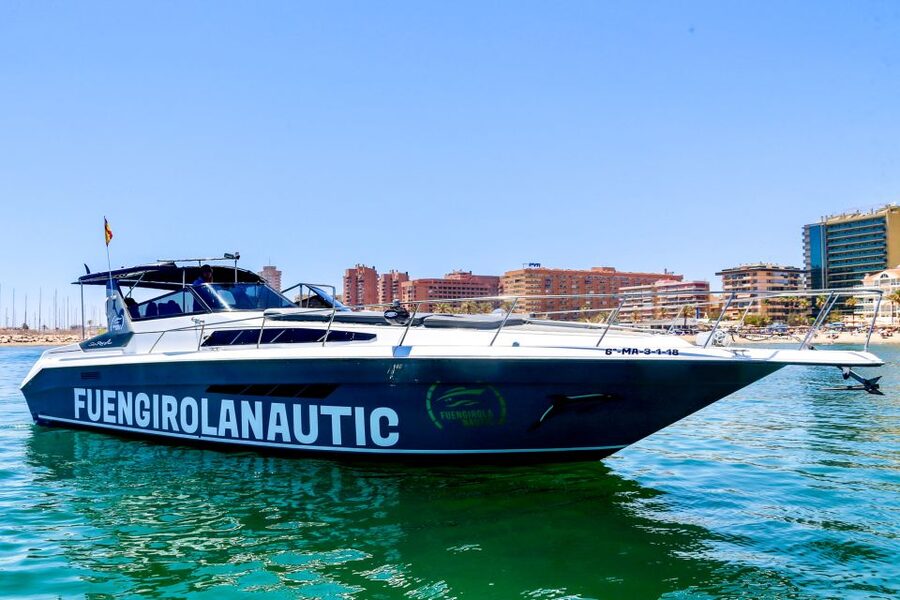 Fuengirola: Dolphin Watching by Yacht with Snacks and Drinks - Searching for dolphins in open water