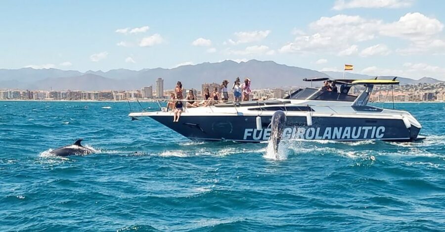 Fuengirola: Dolphin Watching by Yacht with Snacks and Drinks - Swimming from the stern