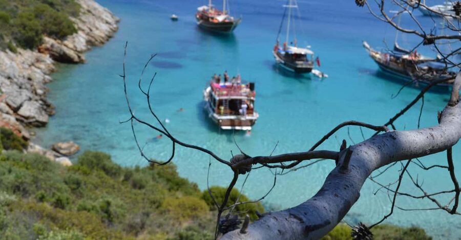 Full-Day Orak Island Boat Trip from Bodrum - Key points to know before you book