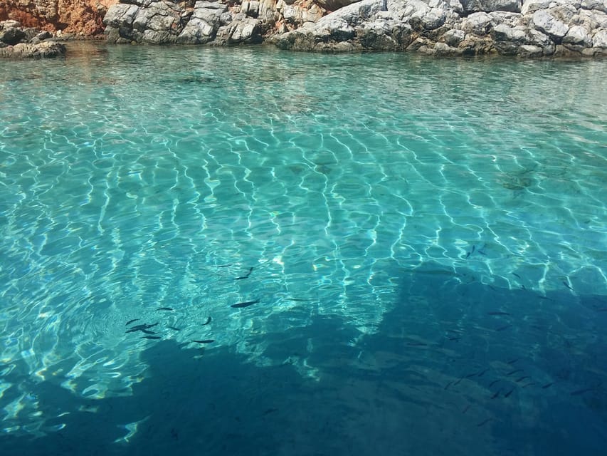 Full-Day Orak Island Boat Trip from Bodrum - Rabbit Bay and the afternoon tea stop