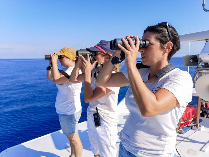 Genoa: Cetacean Watching Cruise with Marine Biologist Guide - Starting at Genoa’s Aquarium Pier