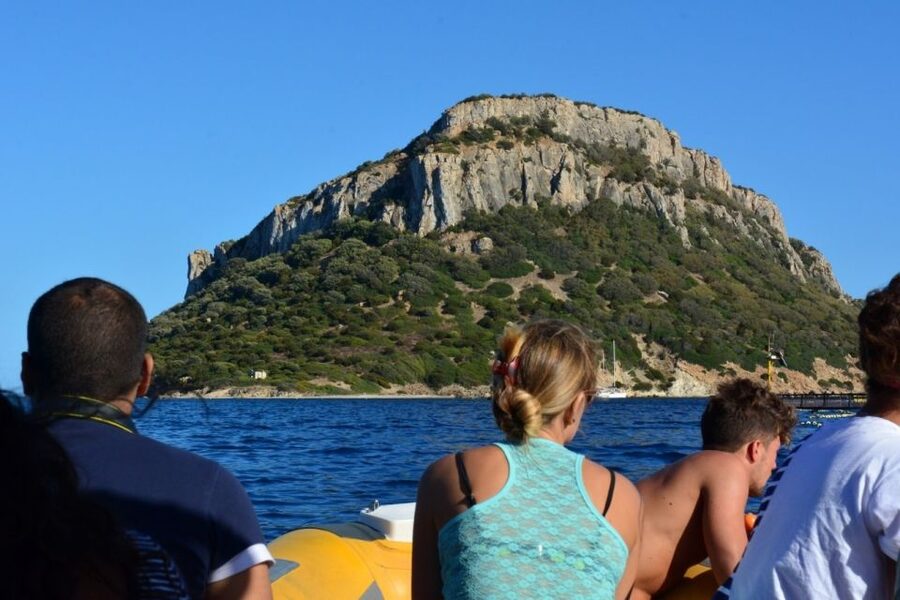 Golfo Aranci: Eco-Friendly Dolphin Watching Boat Trip - The Zodiac Ride Toward Figarolo Island