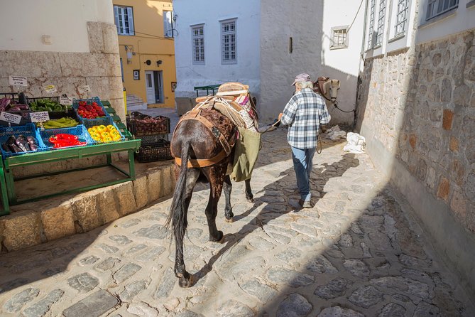 Hydra, Poros and Egina Day Cruise from Athens with Optional VIP Upgrade - Timing, crowds, and the cost of the day