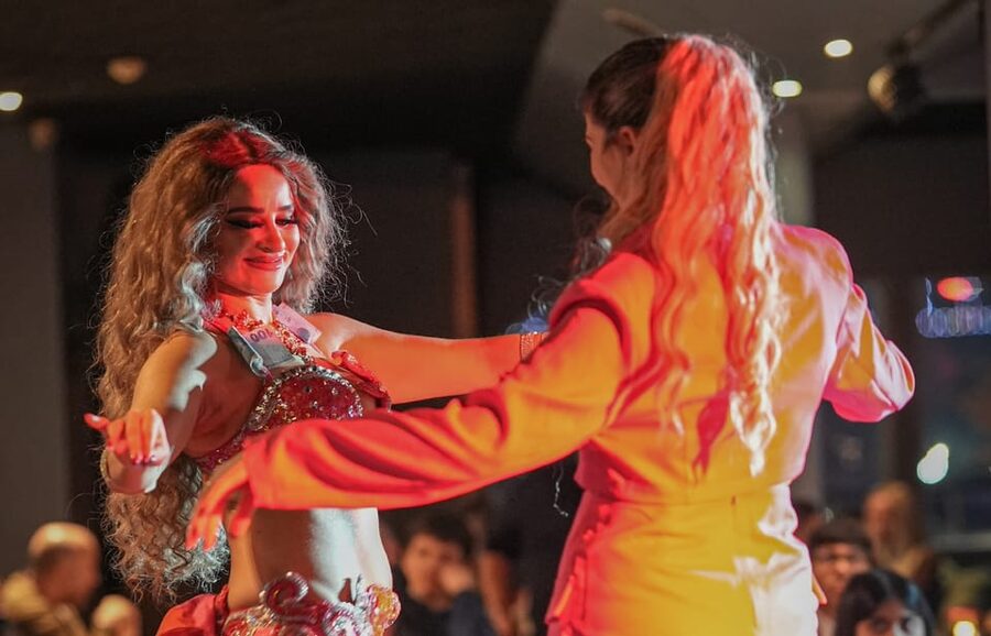 Istanbul: Bosphorus Cruise with Dinner Show - Should you book the Istanbul Bosphorus dinner cruise?