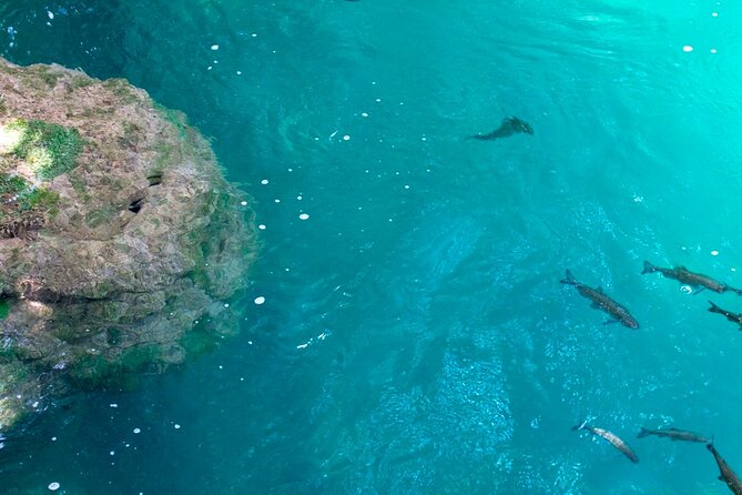 Krka Waterfalls Tour from Split with Boat Ride & Swimming - What you cannot do at the waterfall