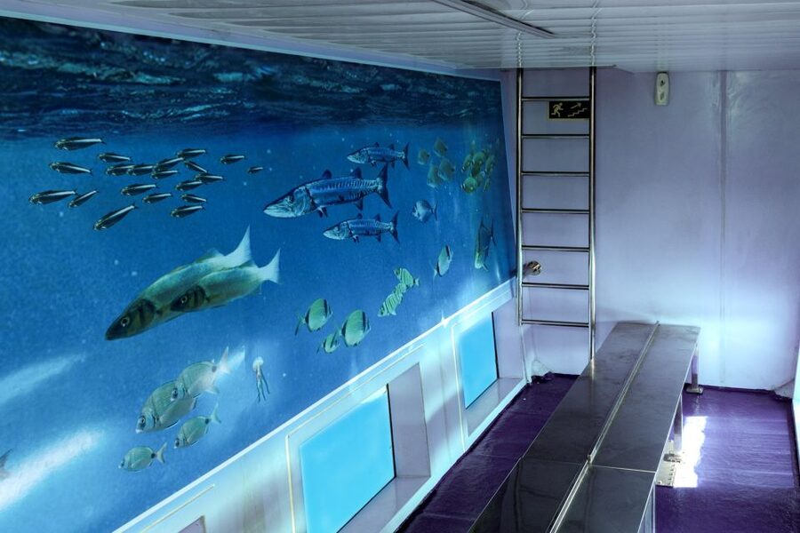 Mahon: Harbor Boat Tour with Underwater Viewing & Commentary - The underwater cabin: a bonus, not the main event