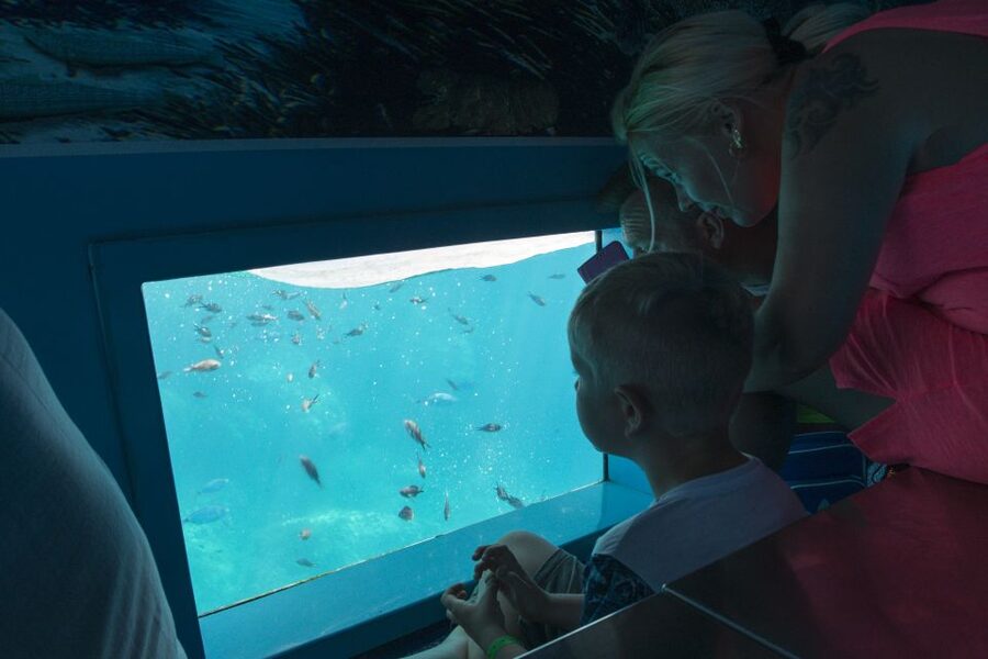 Mahon: Harbor Boat Tour with Underwater Viewing & Commentary - The return route: San Felipe, Es Castell, and Georgetown