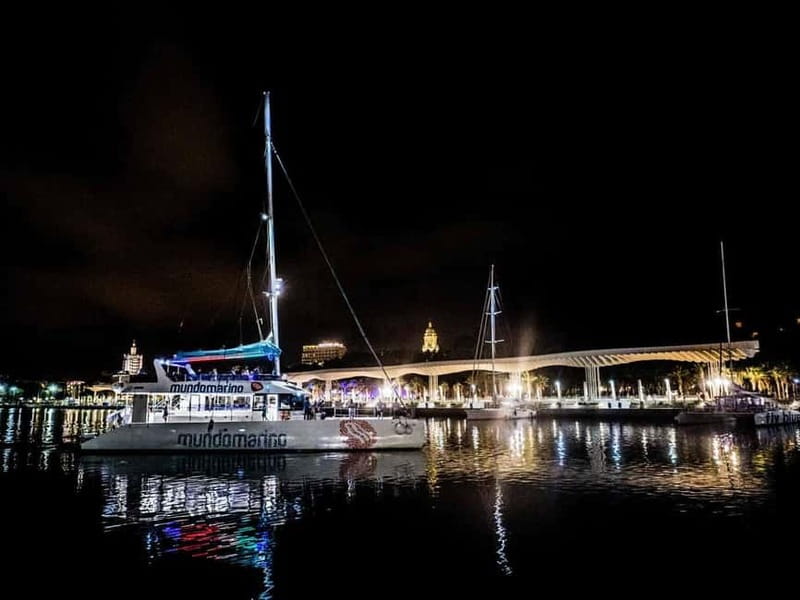 Malaga: Catamaran Sunset or Night Cruise w/ Live DJ & Drink - Who will enjoy this cruise most?