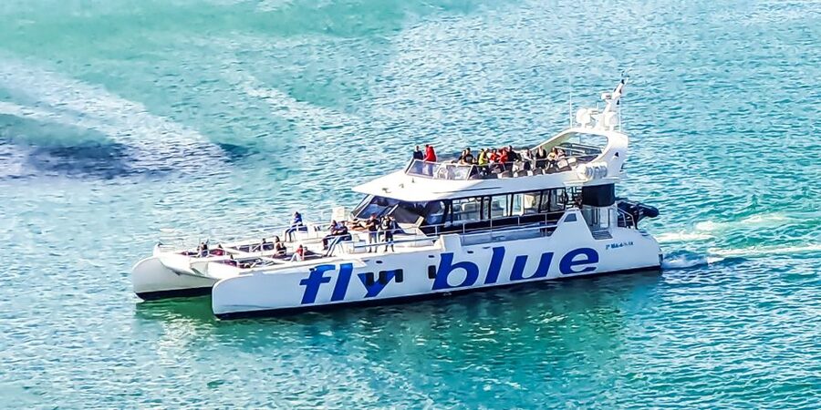 Málaga: Scenic Catamaran Cruise - Bow nets, music, and the onboard bar