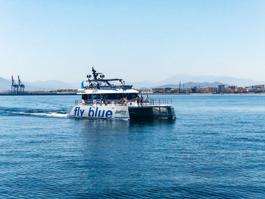 Málaga: Scenic Catamaran Cruise - Swimming depends on the departure