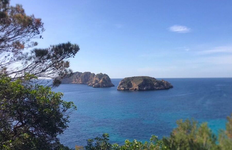 Mallorca: 2-Hour Coastline & Malgrat Islands Catamaran Tour - The 20-minute swim at the secret stop