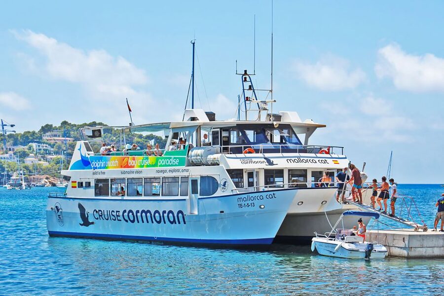 Mallorca: Dolphin Watching Cruise - Key points to know before booking
