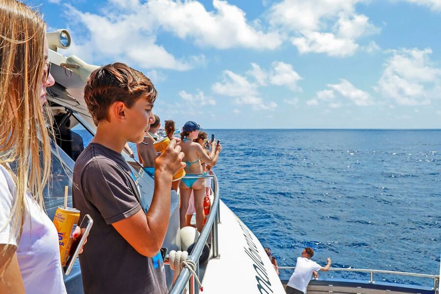 Mallorca: Dolphin Watching Cruise - Food, drinks, and the onboard atmosphere