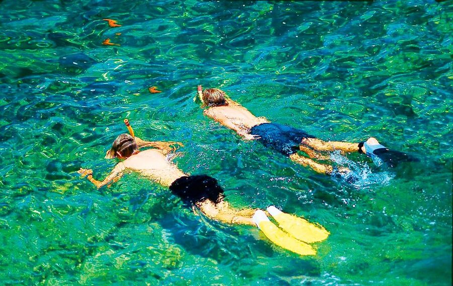 Mallorca: Dolphin Watching Cruise - How crowded is the boat?