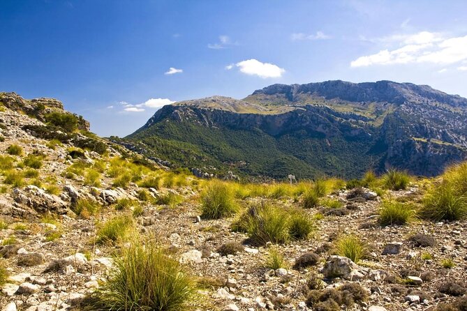 Mallorca in One Day Sightseeing Tour with Boat Ride and Vintage Train - Why this nine-hour Mallorca tour works