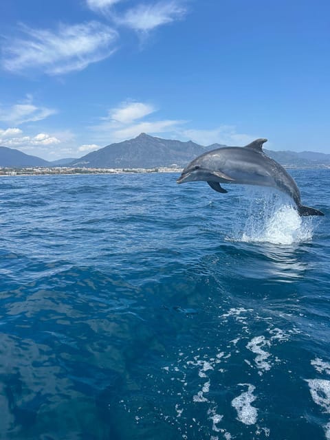 Marbella: Sailing & Dolphin Watching with Snacks and Drinks - Sailing along the coast near Playa Puerto Banús