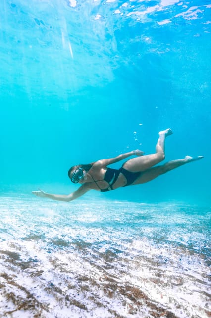 Menorca: Coves and Beaches Boat Trip w/ optional Paella - Weather, timing, and what to pack