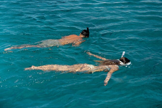 Mykonos: Brand-New Catamaran Cruise with Meal, Drinks & Transport - Pickup is useful, but confirm your port carefully