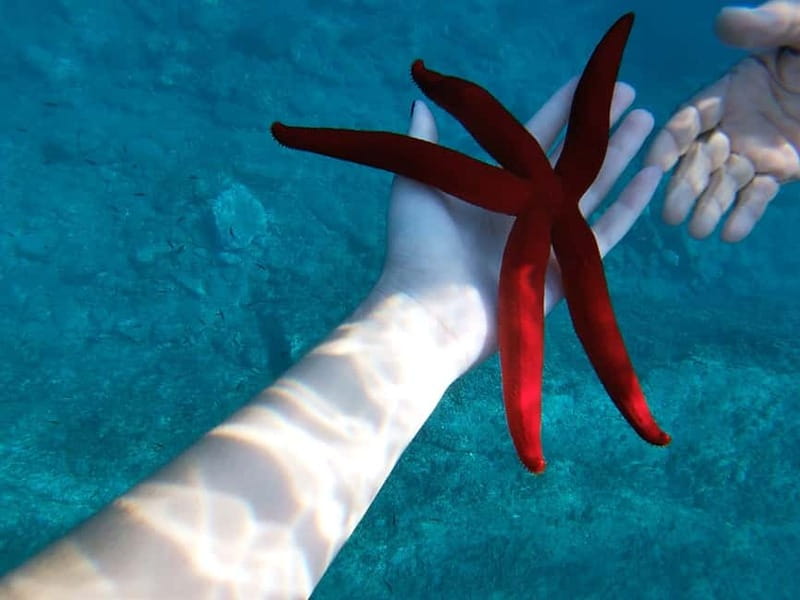 Naxos: Taormina Boat Tour with Snorkeling and Prosecco - The opening cruise along the Giardini Naxos coast