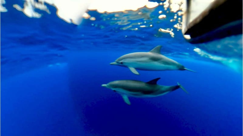 Naxos: Taormina Boat Tour with Snorkeling and Prosecco - Grotta dell’Amore and the coastal caves