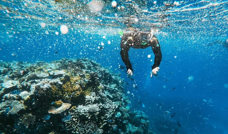 Naxos: Taormina Boat Tour with Snorkeling and Prosecco - Is $53 a good value?