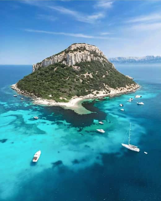 Olbia: Dolphin Watching & Snorkeling Boat Tour near Figarolo - What the $77 price really buys