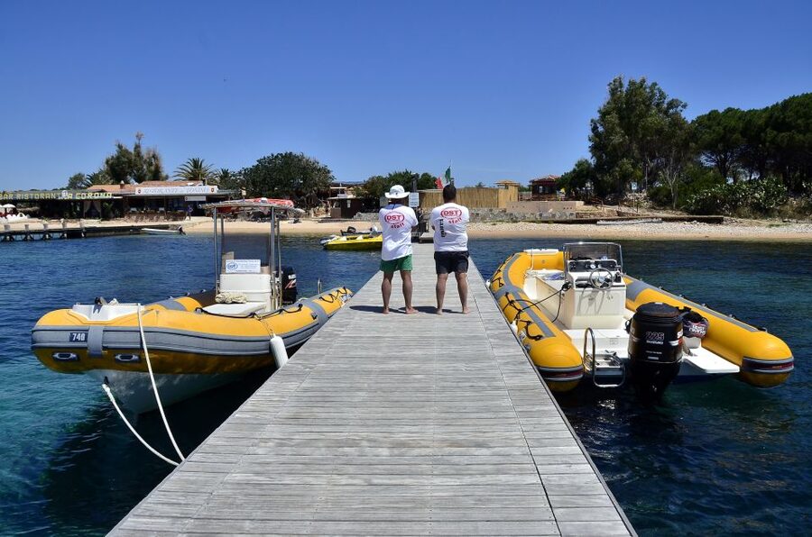 Olbia: Tavolara and Molara Snorkeling Boat Tour - Molara’s natural pools and the fish below