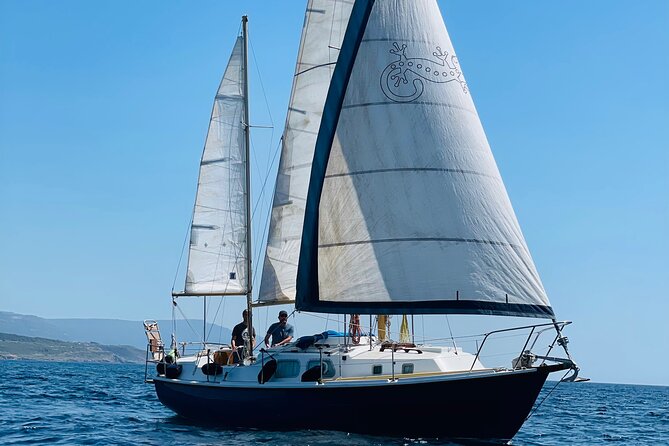 One day excursion on a sailing boat in the Gulf of Alghero - Key points to know before you book