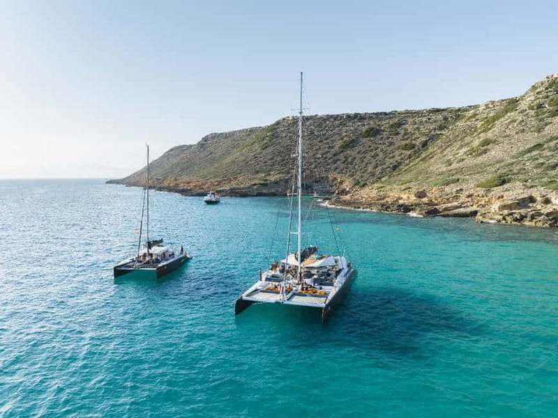 Palma de Mallorca: Half-Day Catamaran Tour with Buffet Meal - A buffet lunch or dinner on deck