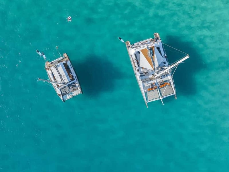 Palma de Mallorca: Half-Day Catamaran Tour with Buffet Meal - Cala Vella and the swimming stop