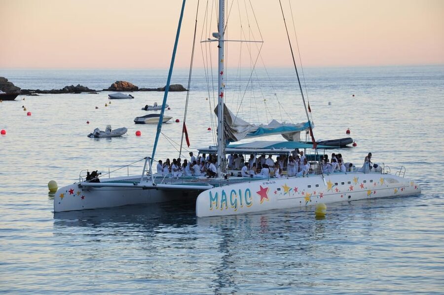 Palma de Mallorca: Sunset Sailing Catamaran Trip with Drink - The Bay of Palma at Golden Hour
