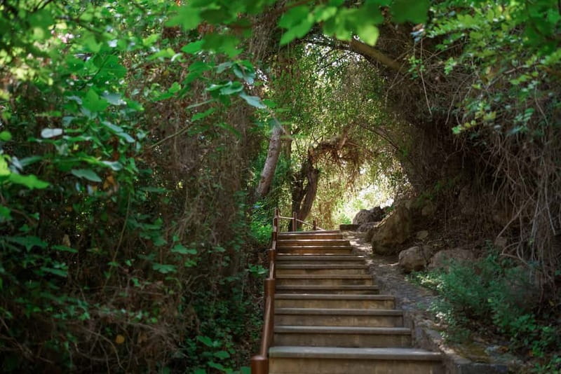 Paphos/Akamas: Blue Lagoon Bus & Boat Tour with Water Slide - Key points at a glance