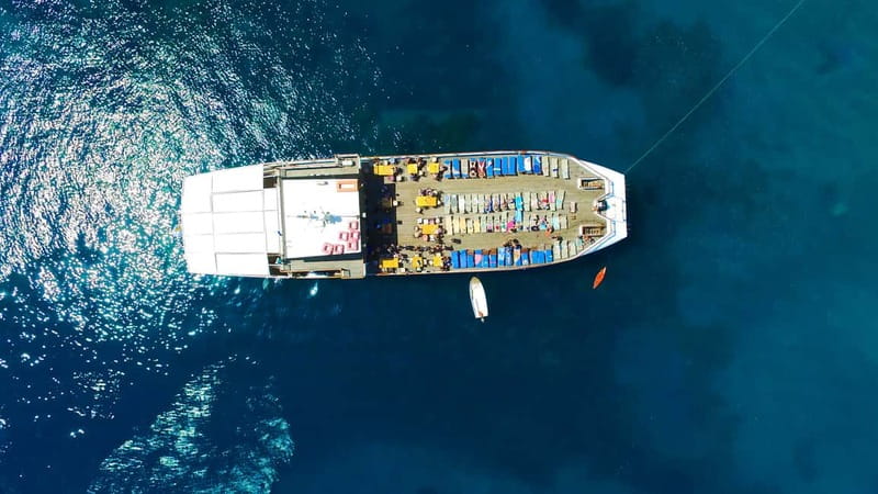 Paphos: Wave Dancer Half-Day Cruise with BBQ and Open Bar - Live music and the change of mood