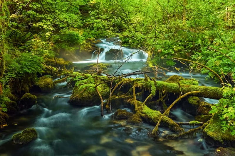 Plitvice Lakes: Guided Walking Tour with Bus and Boat Ride - Starting at Entrance 1 and finding your bearings