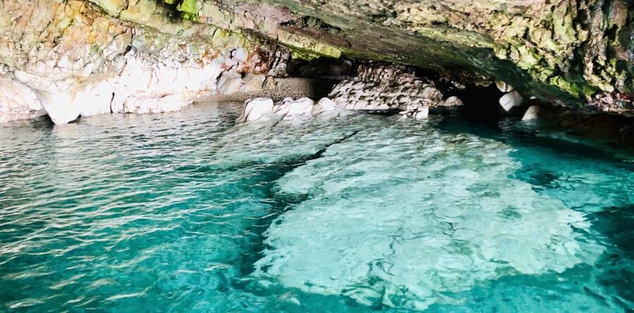 Polignano a Mare: Boat Trip, Swim & Cave with Aperitif - Is $35 a good price for the experience?