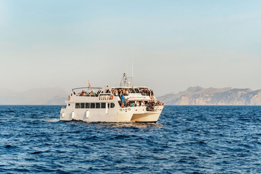 Port d'Alcudia: Sunrise at Sea & Dolphin Watching Boat Tour - Key points before you book