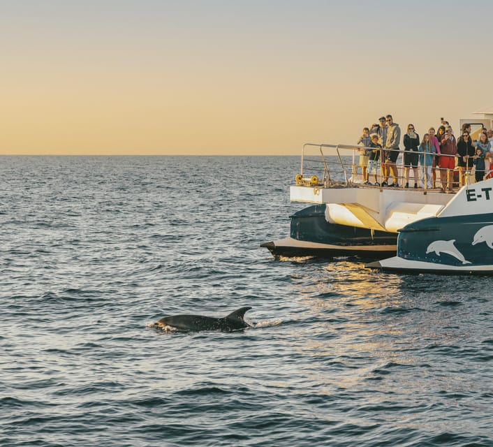 Port d'Alcudia: Sunrise at Sea & Dolphin Watching Boat Tour - Sunrise over Mallorca’s north coast