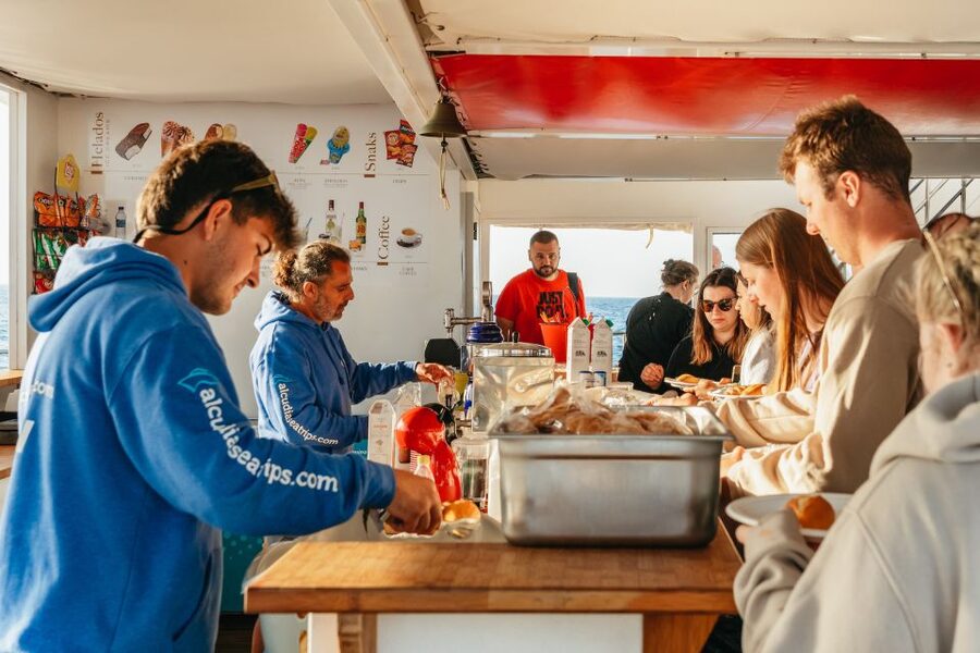 Port d'Alcudia: Sunrise at Sea & Dolphin Watching Boat Tour - The return cruise and small breakfast