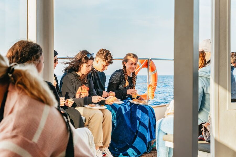 Port d'Alcudia: Sunrise at Sea & Dolphin Watching Boat Tour - What the $69 price includes