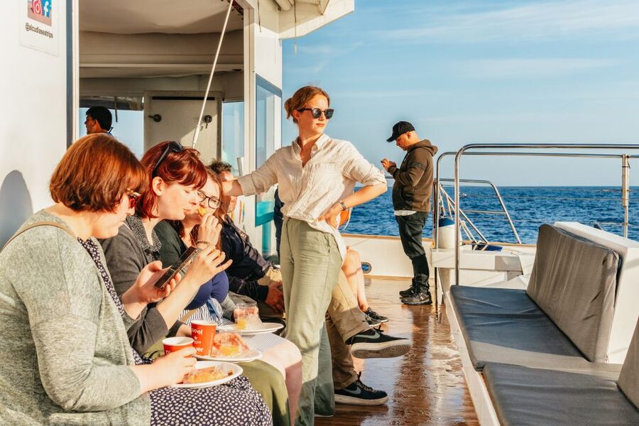 Port d'Alcudia: Sunrise at Sea & Dolphin Watching Boat Tour - The first hour: stars, dark water, and a rising sky
