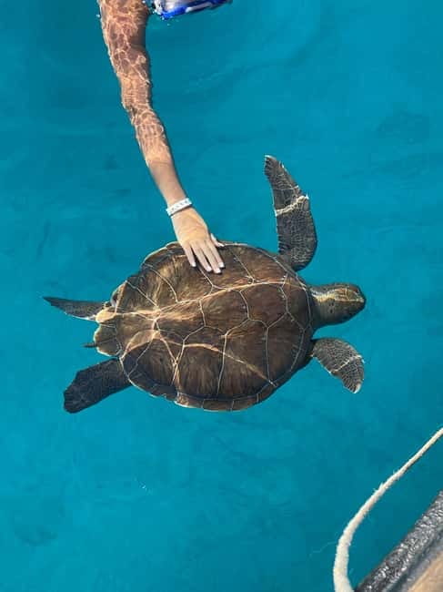 Protaras: Blue Lagoon and Turtles Pirate Cruise - Setting sail from Protaras Pier