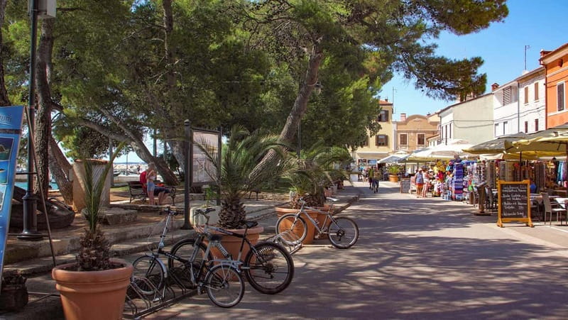 Pula: All-Inclusive Brijuni Boat Tour w Lunch, Drinks & Swim - Timing, weather, and route changes