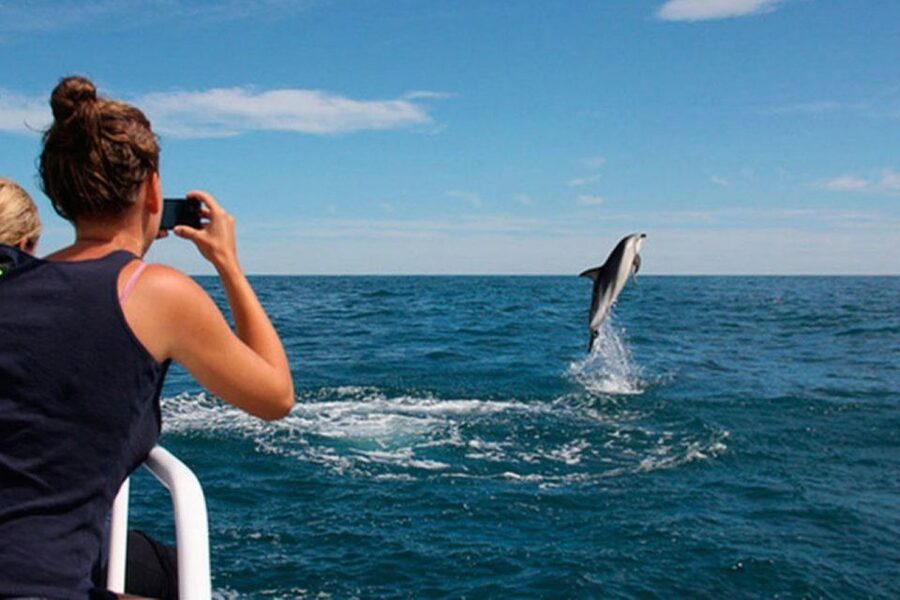 Pula: National Park Brijuni Island Visit & Dolphin Cruise - Key points before you book