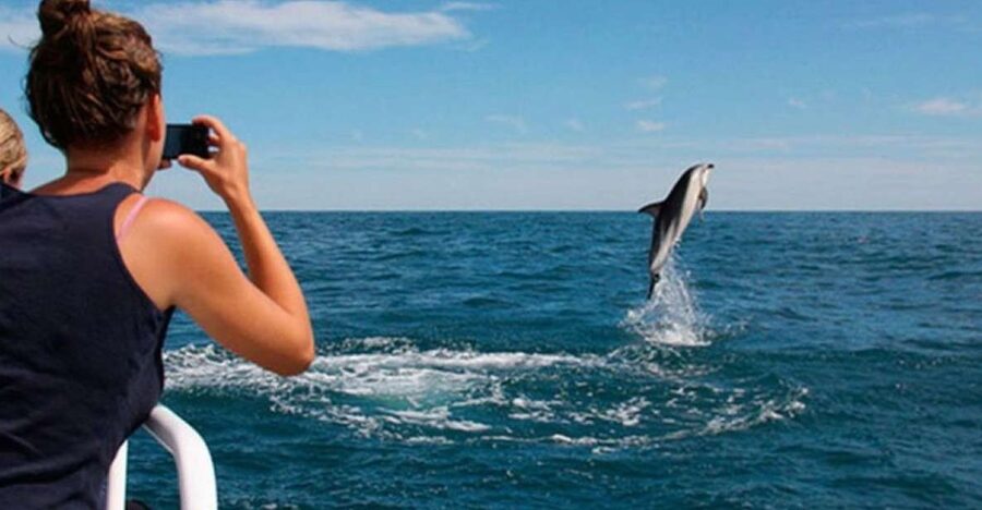 Pula: National Park Brijuni Island Visit & Dolphin Cruise - Seeing Brijuni from the water