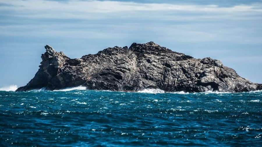 Roses: Cap de Creus & Port Lligat Boat Tour w/ Cadaqués Stop - Timing, language, and comfort