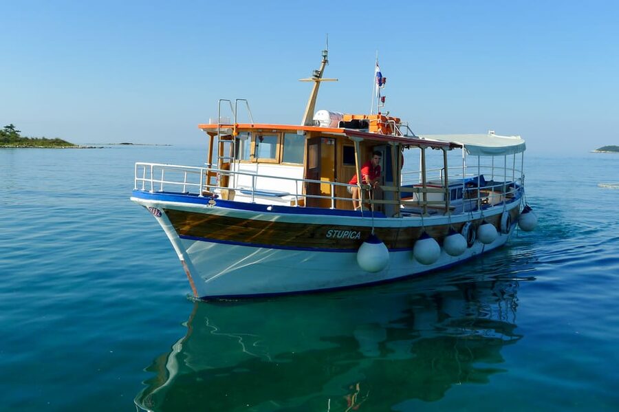 Rovinj: Sunset Cruise with Swim Stop, Drinks, and Fruits - Searching for dolphins along the Rovinj coast